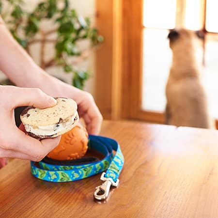 Multitasken met Ben & Jerry's 'Wich - Fido uitlaten
