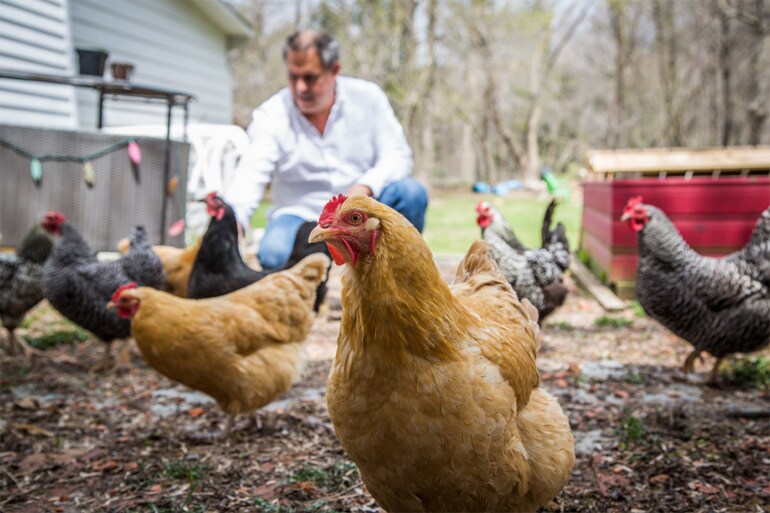 EricwithChickens770.jpg